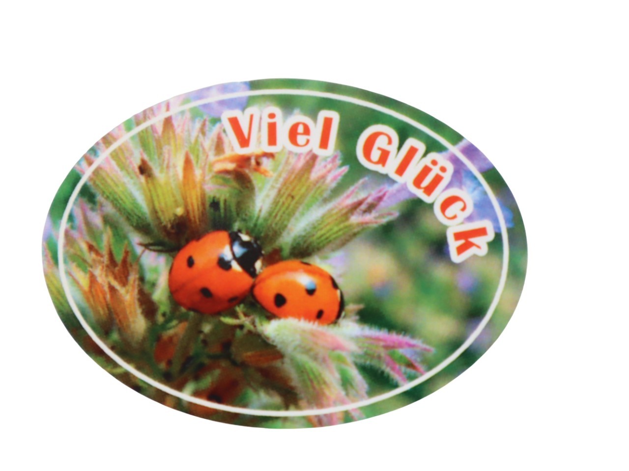 Etikett oval Viel Glück 53-42 mm 250 Stück