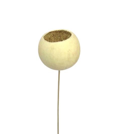 Bell Cup gestielt D7 L55cm gebleicht