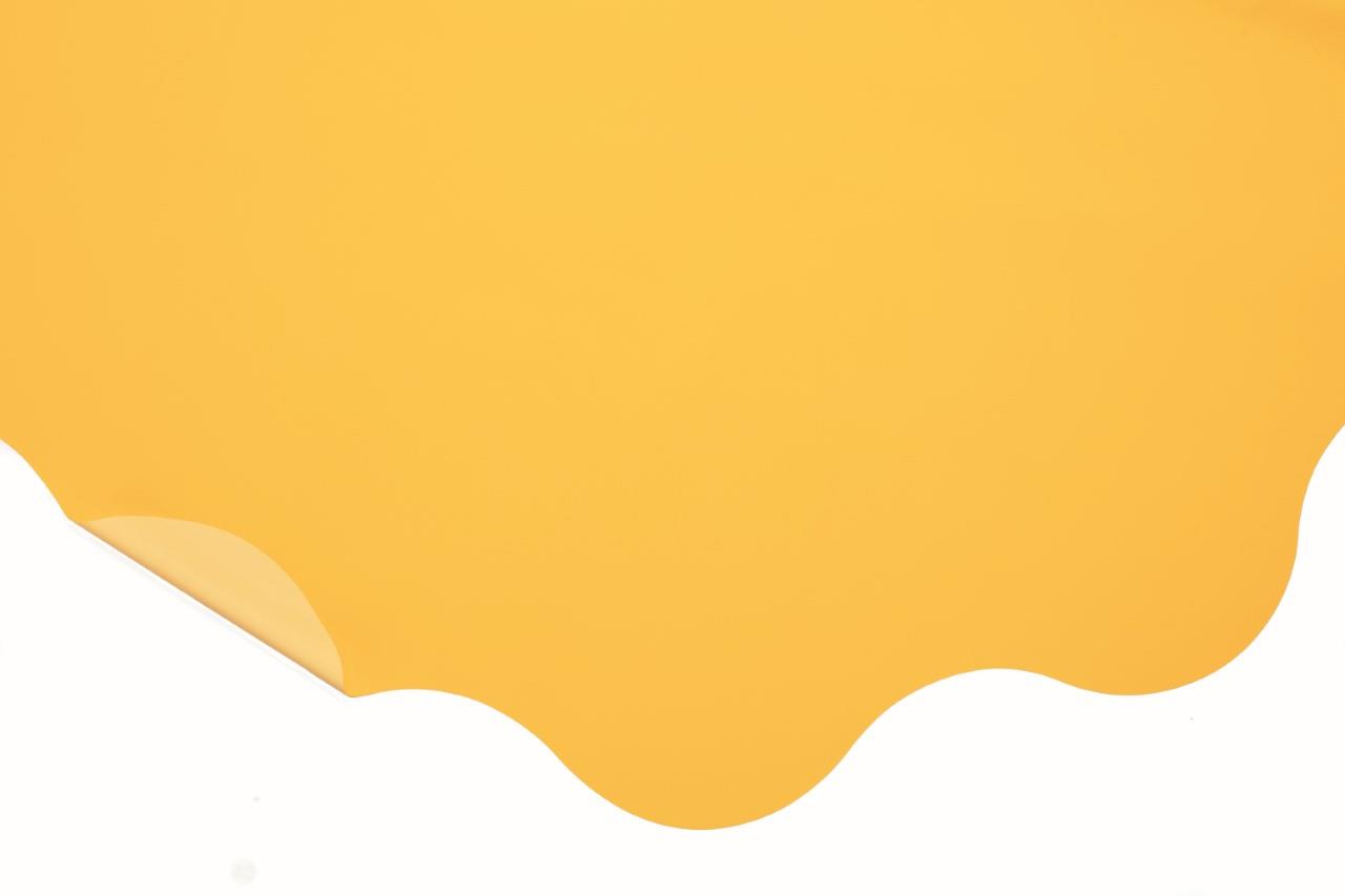 Rondella 60cm S-J06P1 BICOLOR gelb  -05