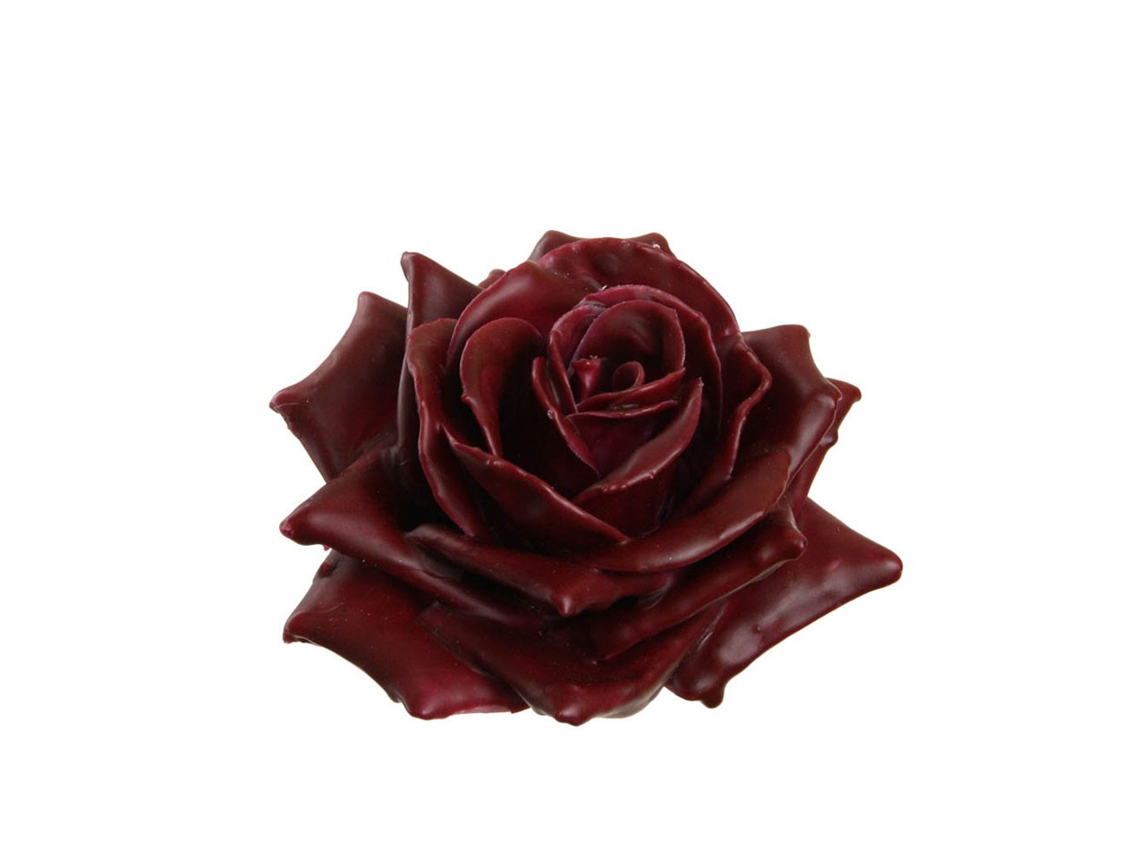 Rosenblüte Wachs 11cm burgund in Holzbox
