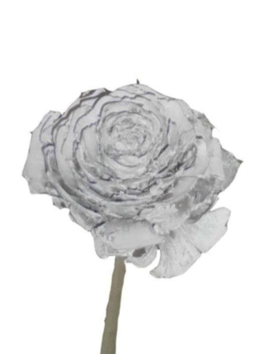 Cedernrose gestielt white washed