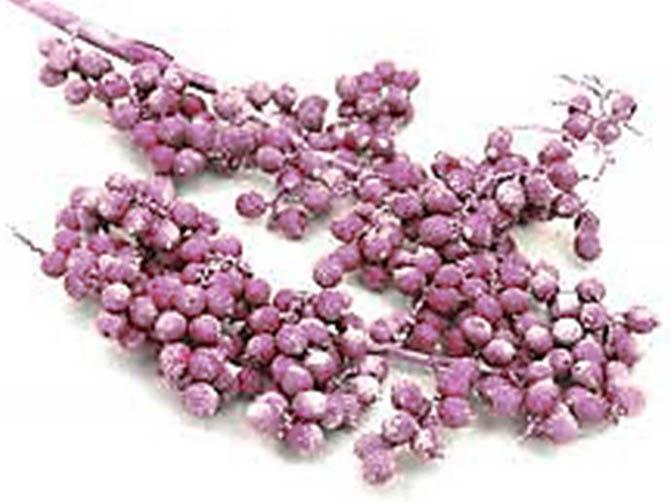 Canella spezial große Beeren brombeer frosted