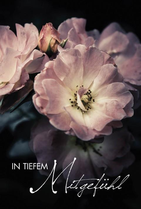 Trauerkarten Consolationl 11,5x17 cm