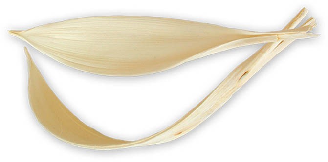 Cocosschalen L25-35B9-10cm gebleicht