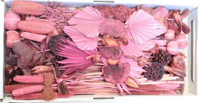 Exotensortiment indisch altrosa groß 100 Stück