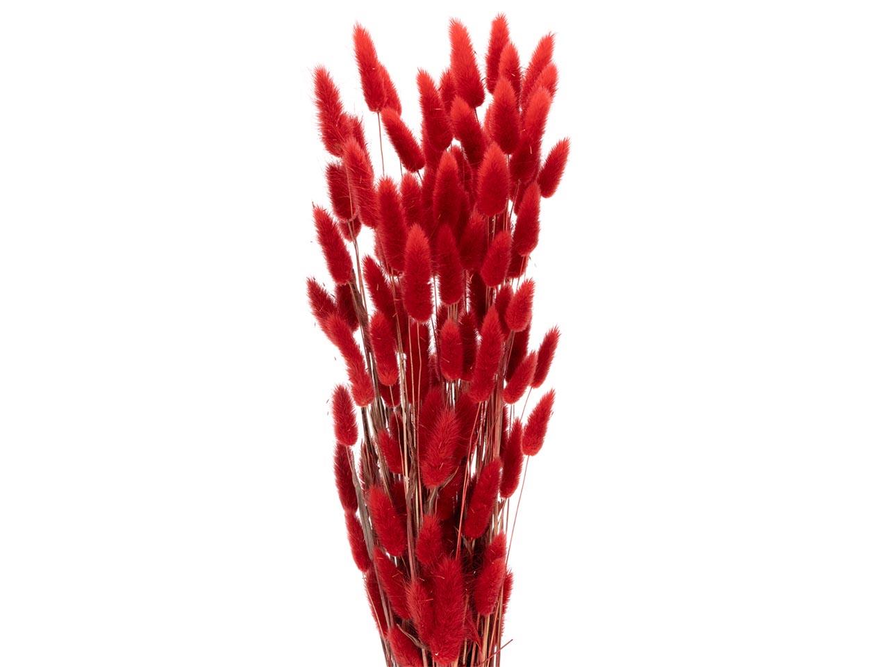 Lagurus rot 100g L70-75cm