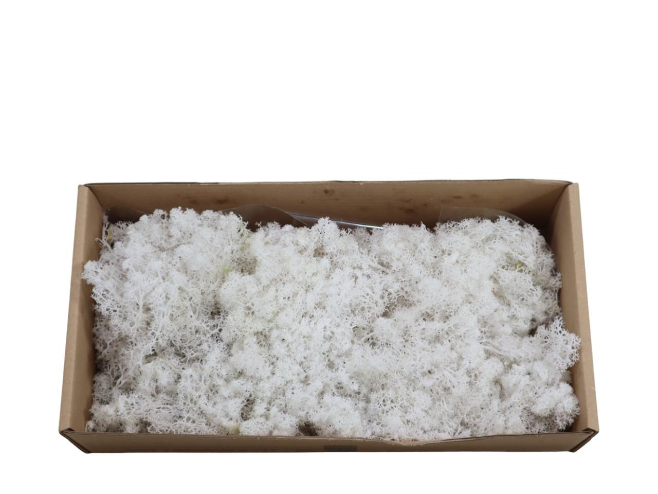 Islandmoos -Finland 500gr. weiß