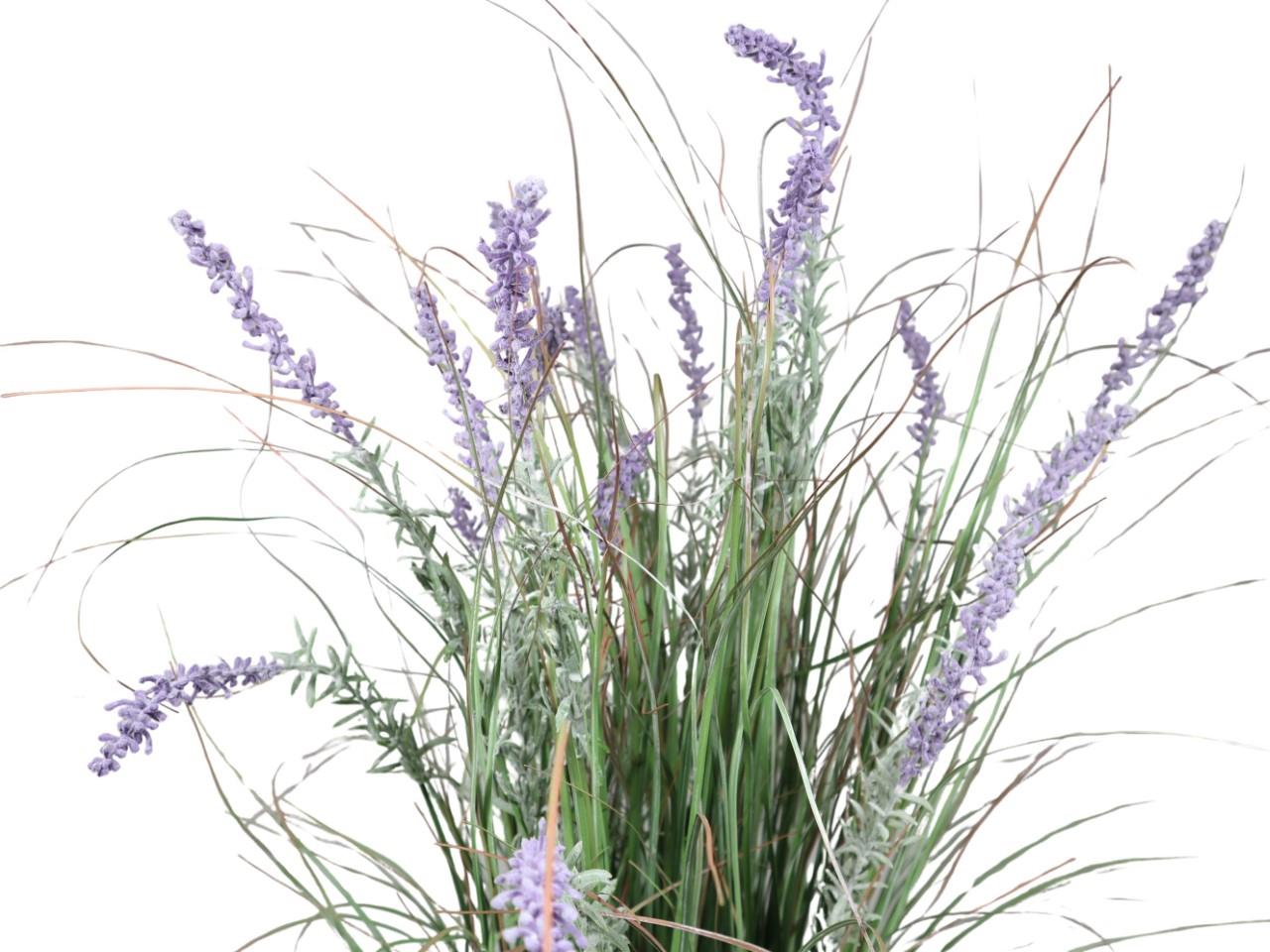 Gräser im Topf  grün-flieder H110cm