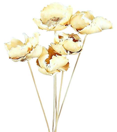 Palmblüte gestielt D6-8H4-5L40cm gebleicht