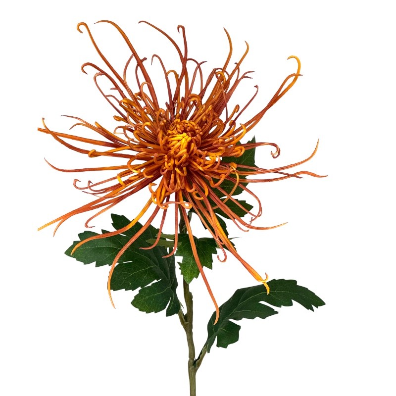 Spinnenchrysantheme Kunststoff dk.orange D23cmxH71cm