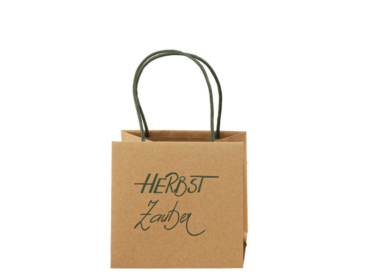 Pflanztasche Herbstzauber Papier natur/grün D10,5cm