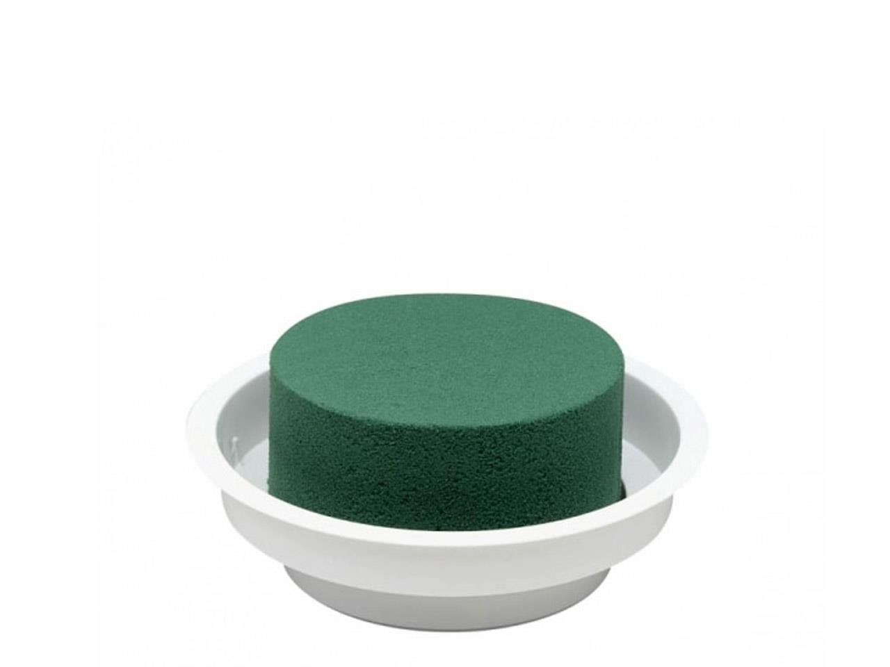 OASIS Junior Schale weiß D12 H5cm NETTO