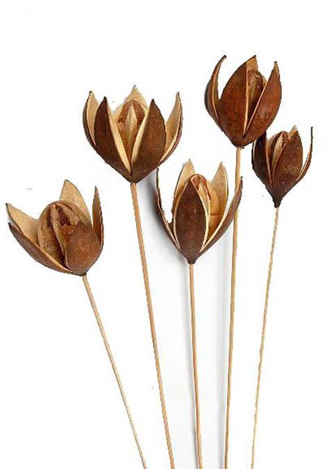 Wildlilie gestielt B8H6L45 natur