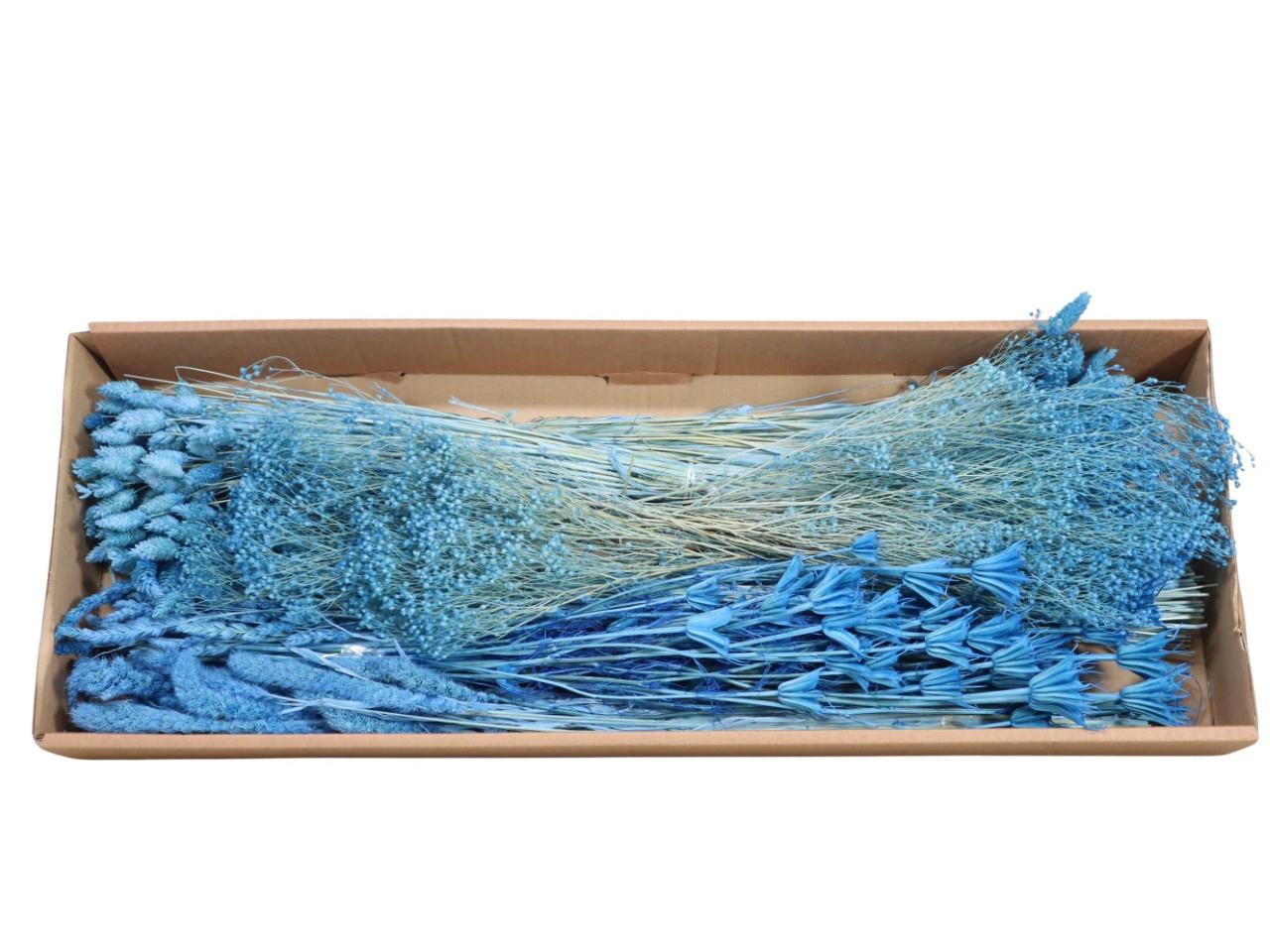 Gräser sort. 350 gr. hellblau 76/P