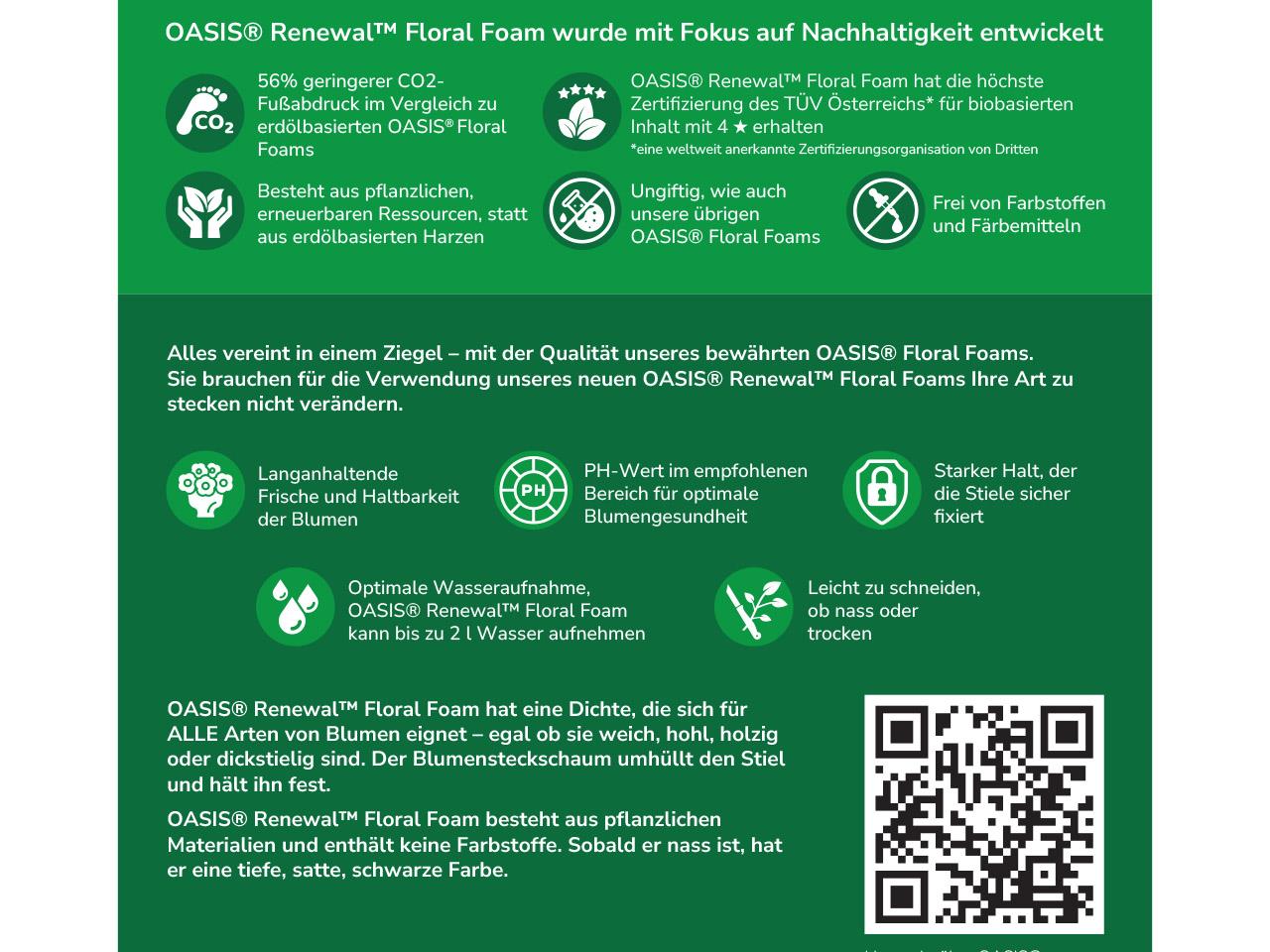 OASIS RENEWAL Frischblumensteckschaum NETTO