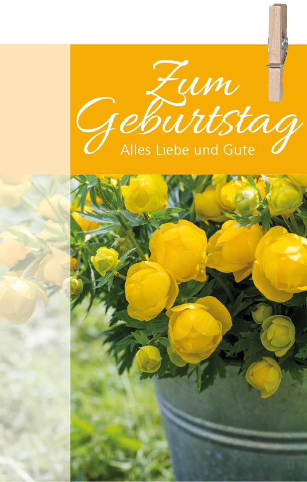 Minikarten Daily Zum Geburtstag 7,5x5 cm
