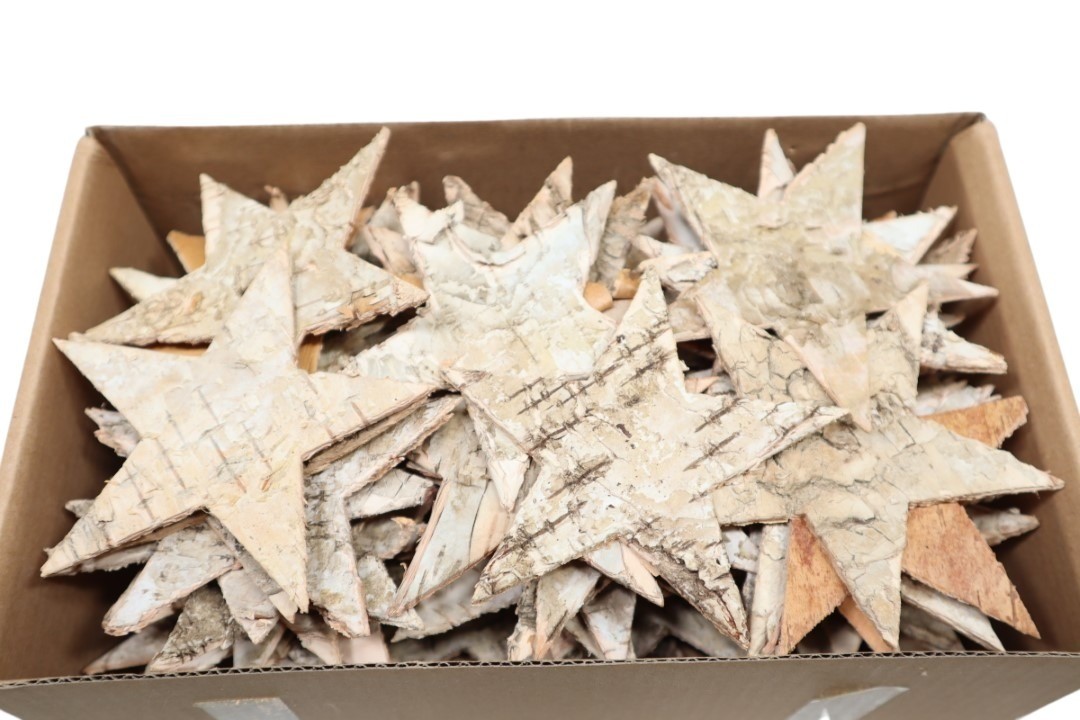 Sterne Birke natur Ø9cm