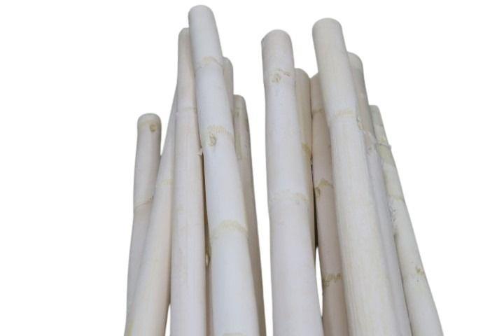 Canna Stiele 1Meter weiß-gebleicht M