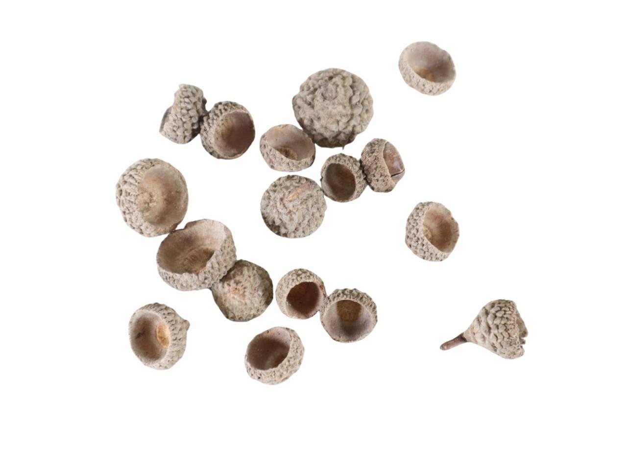 Eichelschalen natur 200 g