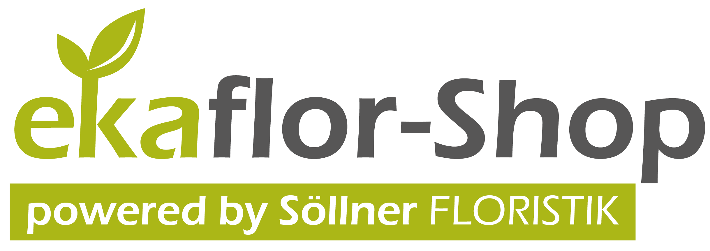 Lade Söllner Floristengroßhandel