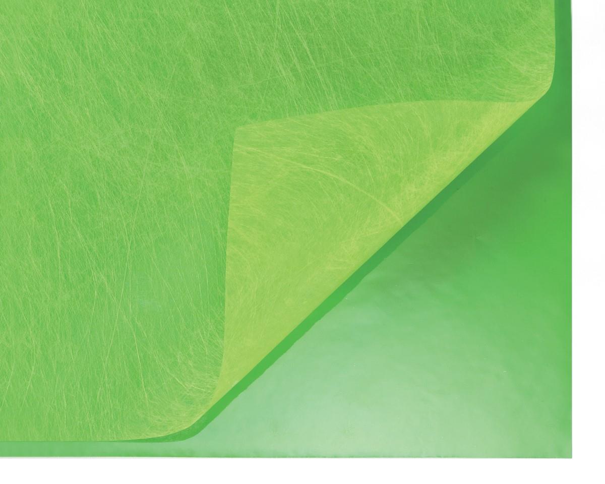 Rondella 50cm Vlies/Folie 25x2 SD751DLL grün -48