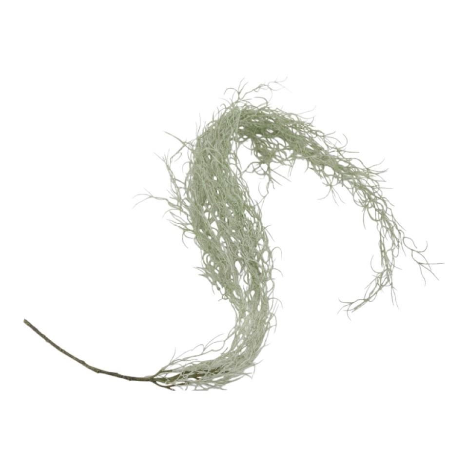 Tillandsie grau L125cm