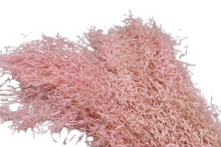 Briza Segromigno zartrosa 200gr.