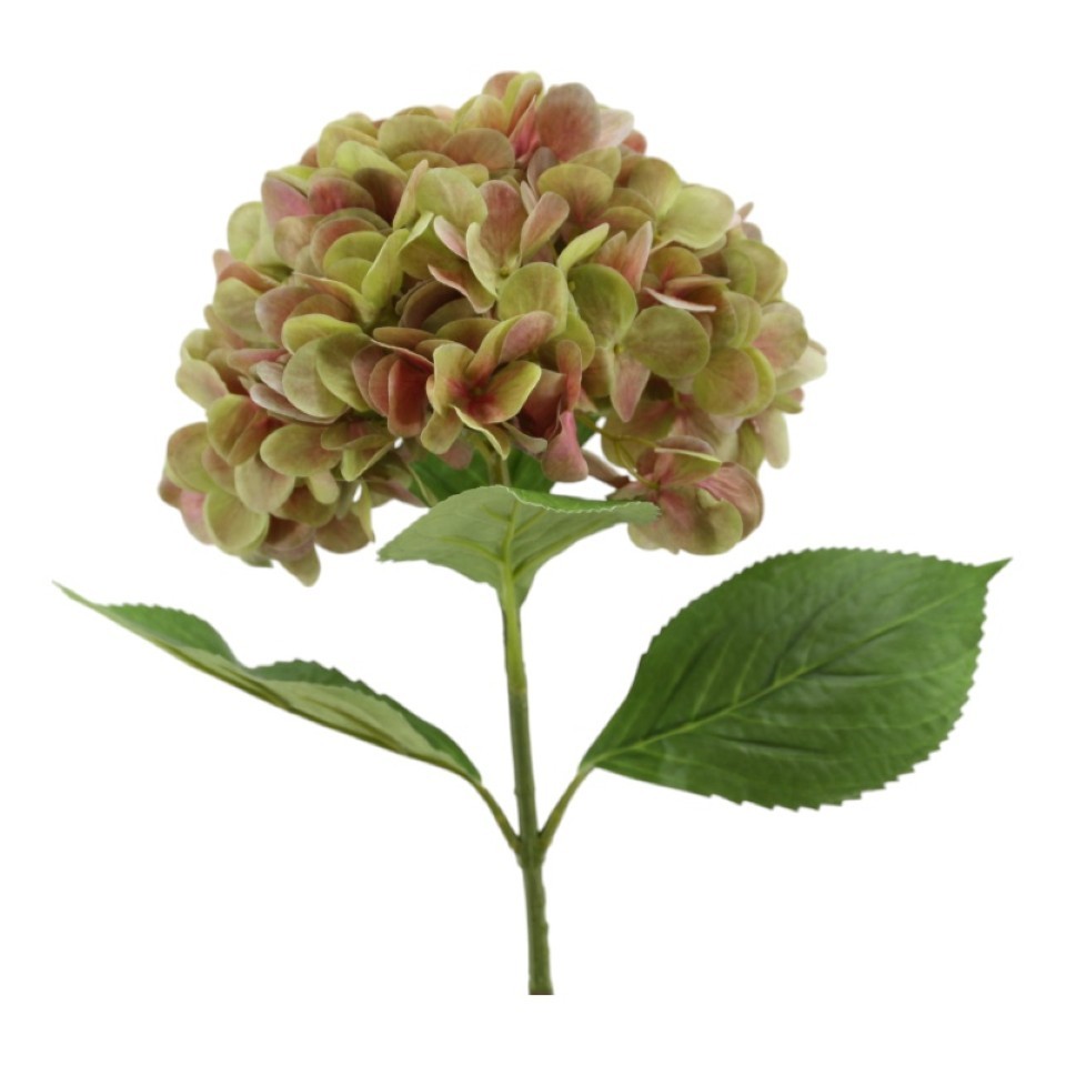 Hortensie 70cm grün-rose