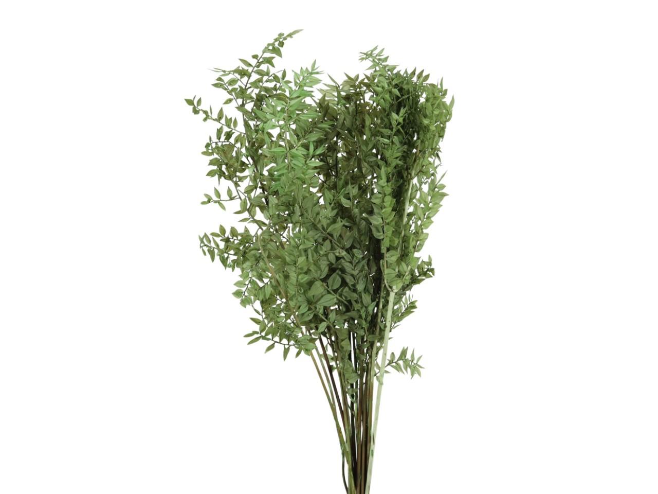 Ruskus 400gr. titanite235