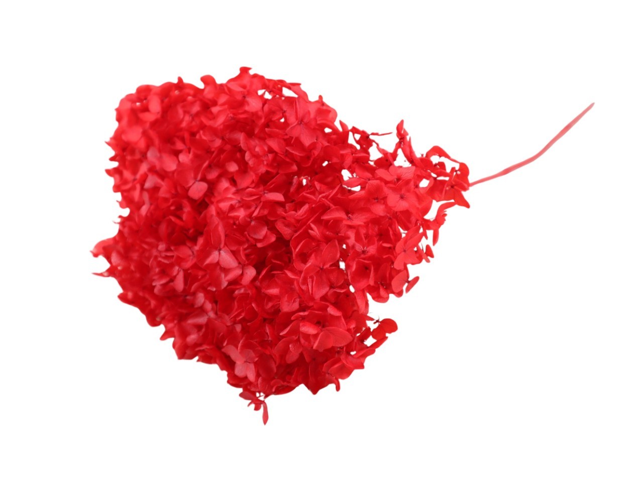 Hortensie rot Durchmesser ca. 15-20 cm Länge 60 cm