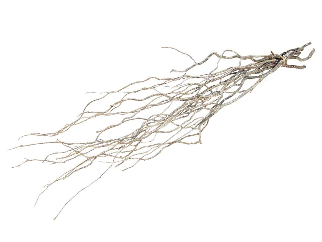 Curly Willow 50-60cm 75gr. white washed
