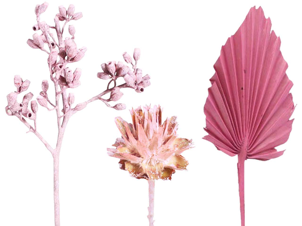 rosa (-frosted)