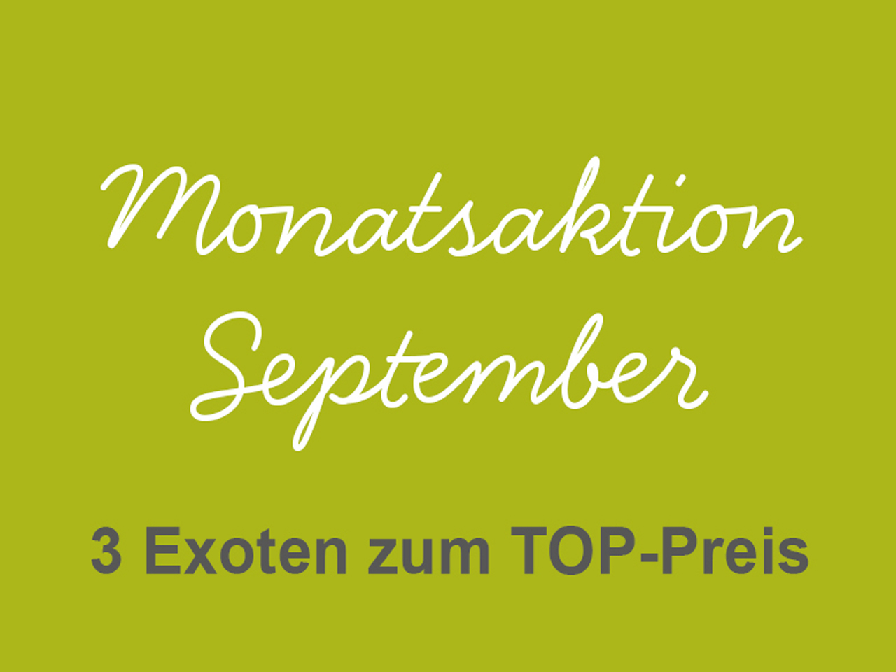3 Exoten zum Top-Preis