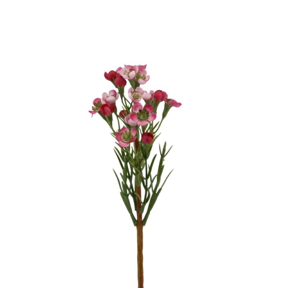 Waxblume-Pick dunkel rosa H36cm