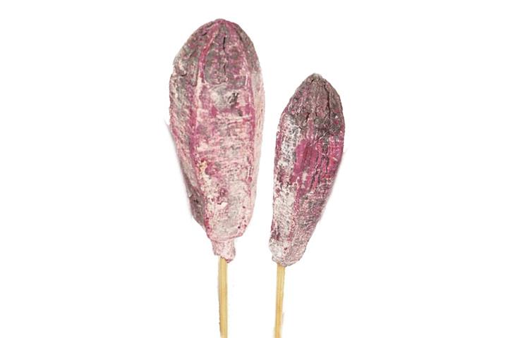 Mehoste gestielt  D4-5H11-14L45cm brombeer frosted