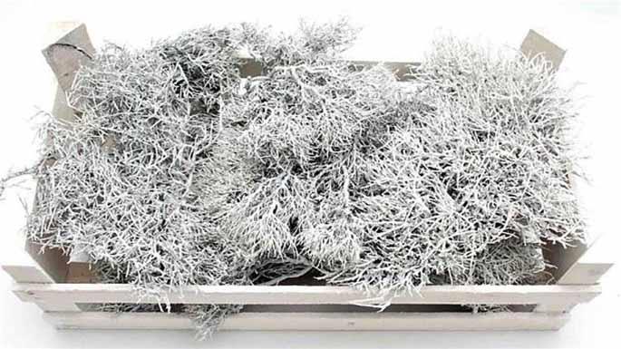 Ironbush Holzbox 60x30x20cm white washed