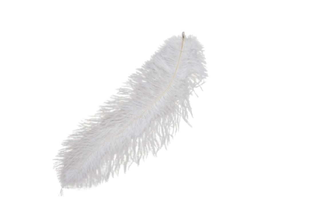 Straußenfeder weiß 25-30cm