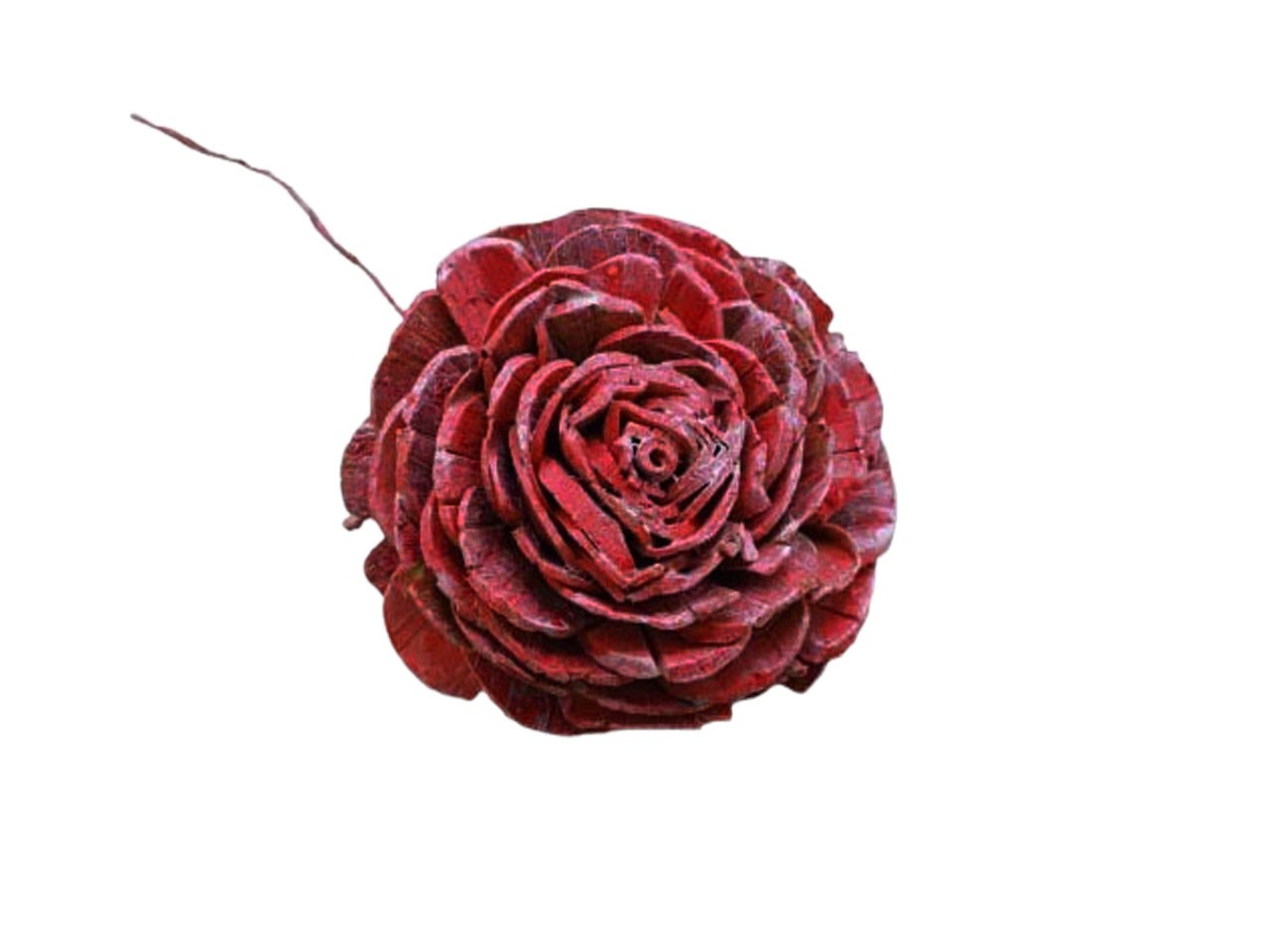 Rose Sola am Draht 8cm bordeaux