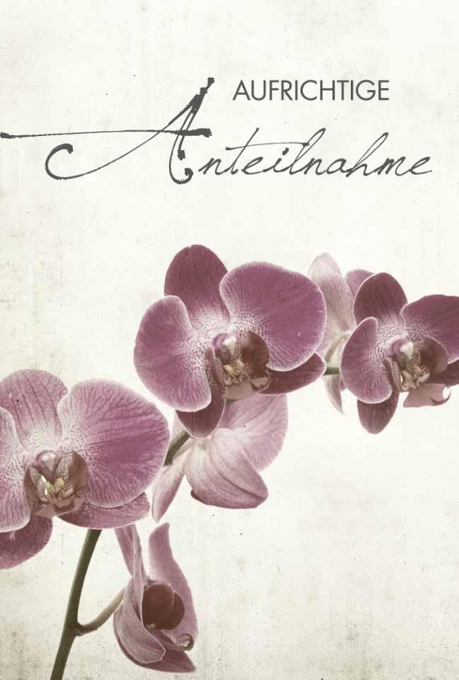 Trauerkarten Aufrichtige Anteilnahme 11,5x17 cm
