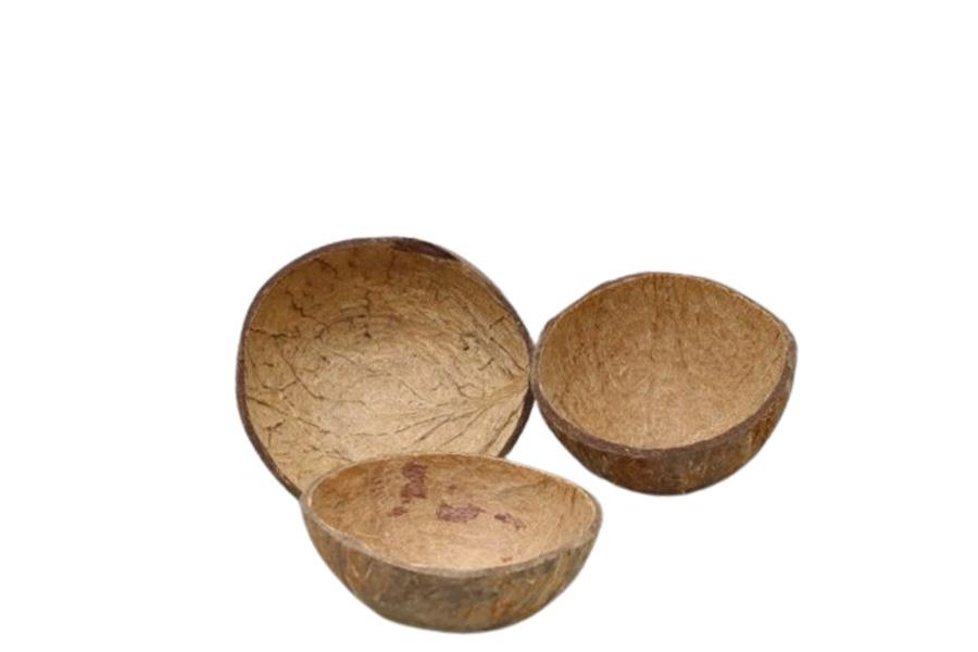 Cocosnussschale 12-14cm natur