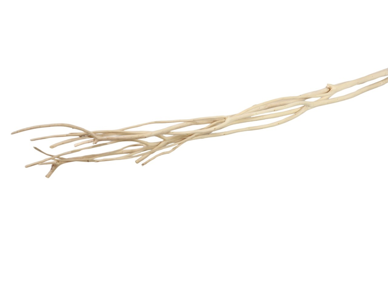 Mitsumata-Zweige gebleicht L110-120cm Bündel 3 Stück