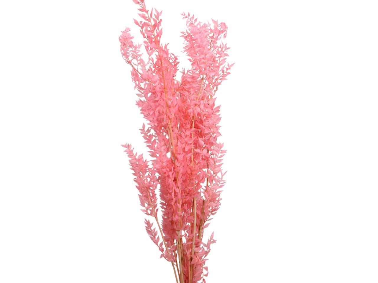 Ruskus 300 gr. zartrosa