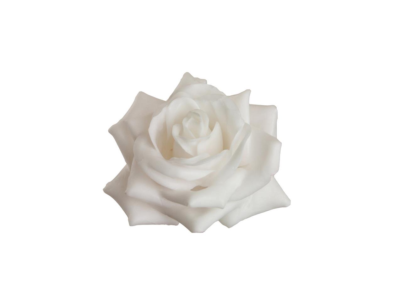 Rosenblüte Wachs 5cm weiss in Holzbox