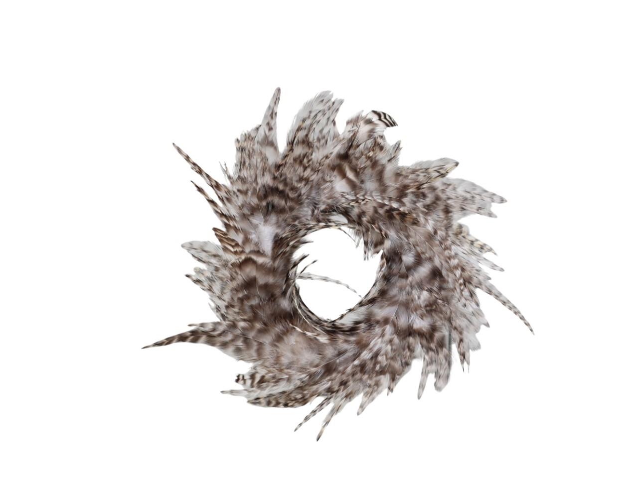 Federn Ring 18cm natur-grau