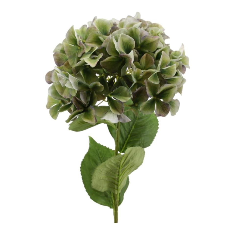 Hortensie XL grün D30xH95cm
