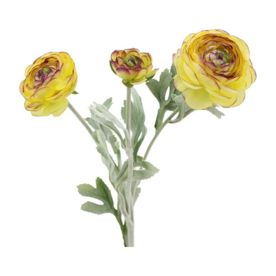 Ranunkelzweig 2Blüten, 1 Knospe gelb-purple H50cm