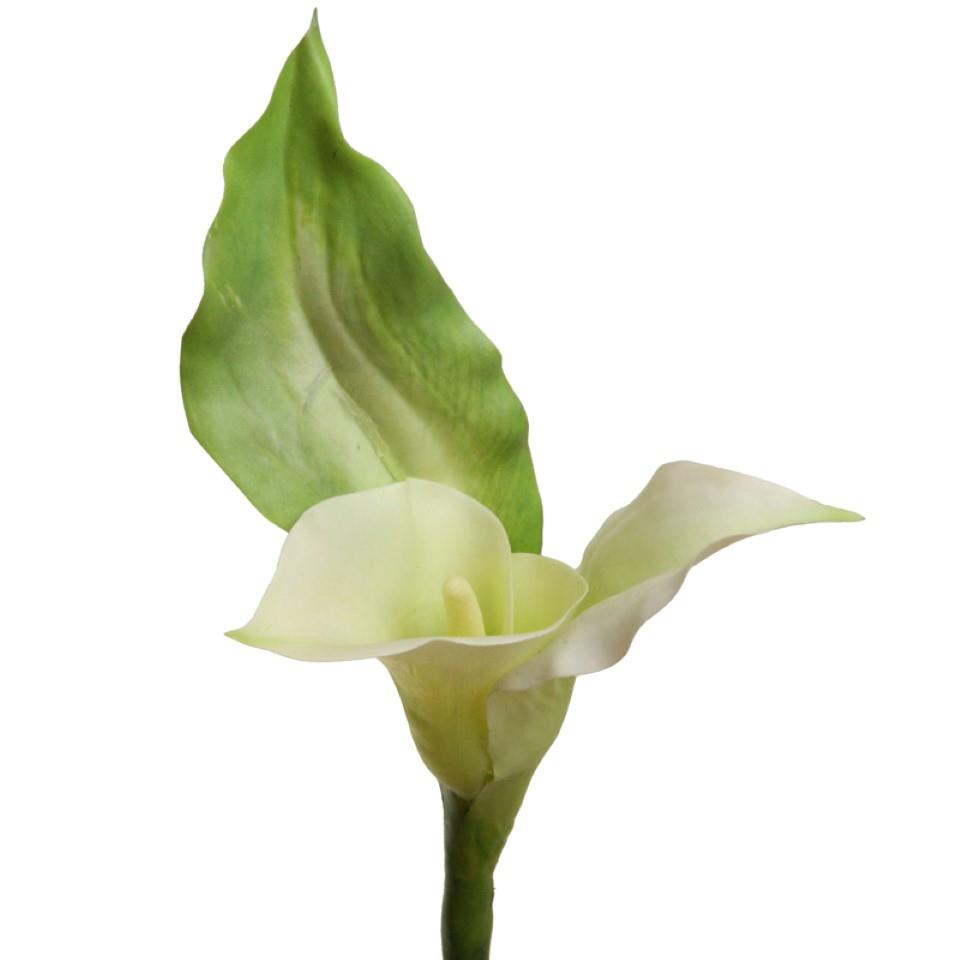 Calla 70 cm creme