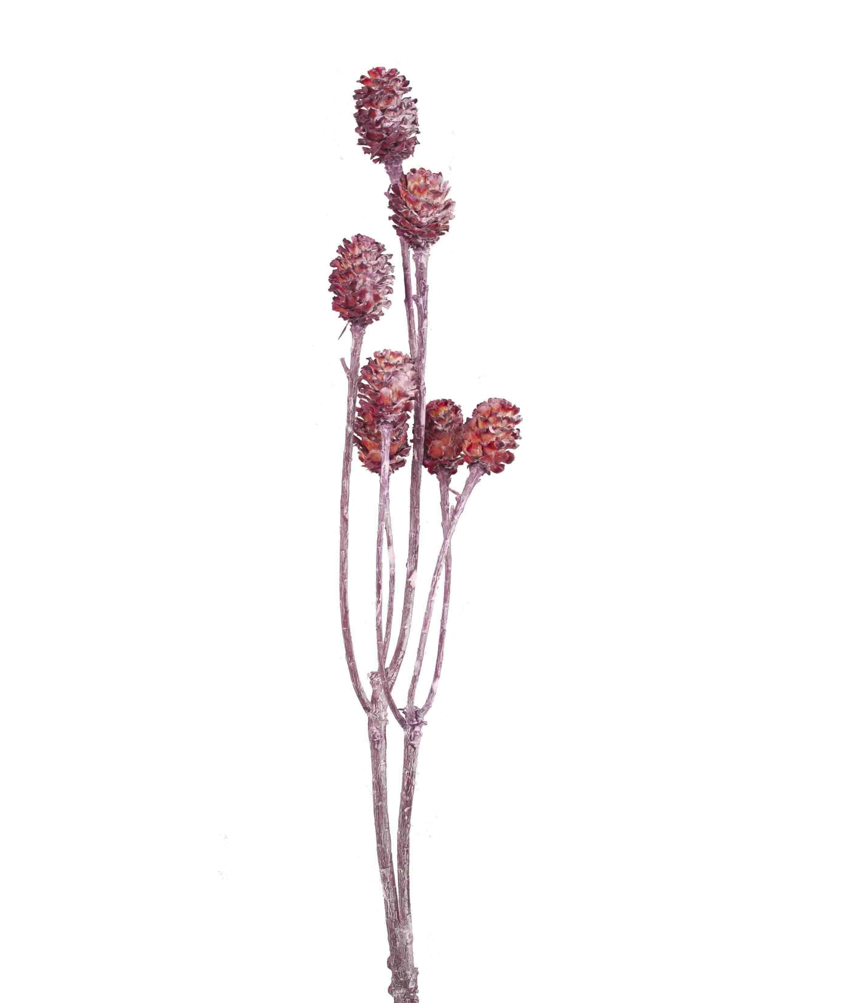 Salignum 7+Köpfe D2-3L30-35cm rot frosted