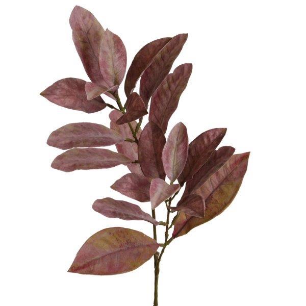 Croton Zweig 72cm purple NETTO