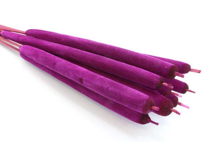 Schilfkolben geraspelt extra brombeer